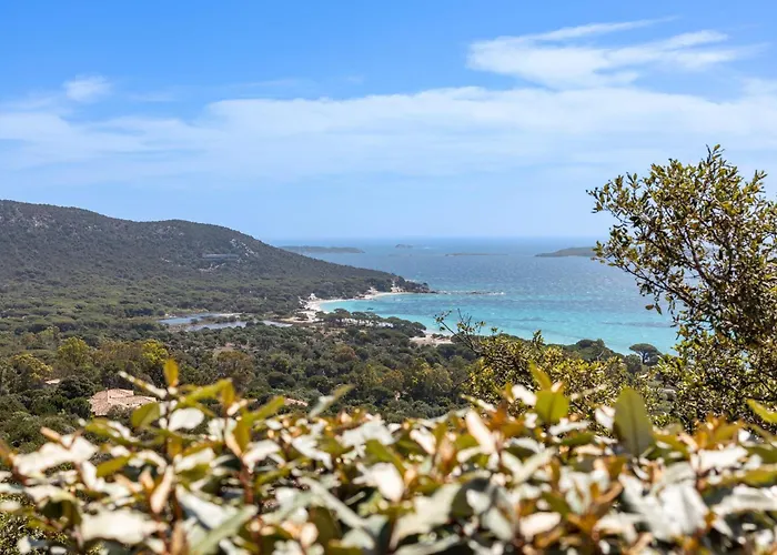 Villa Lume Di Palombaggia Musoleu